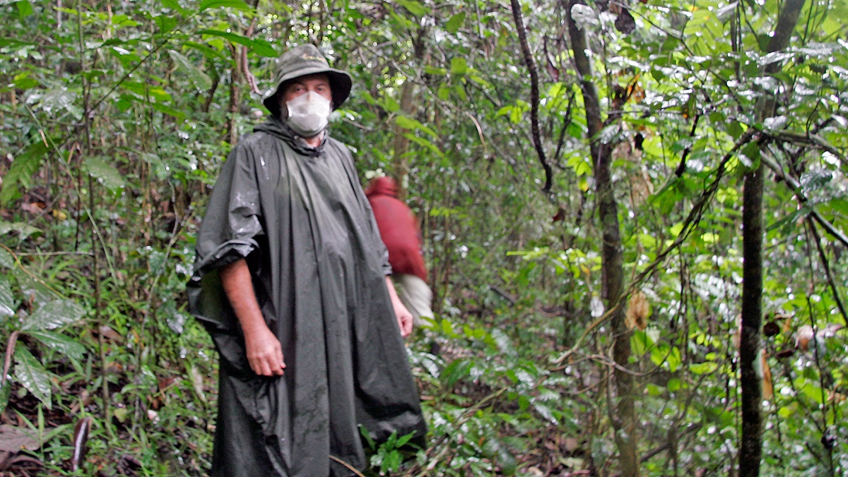 Bossou Forest, Guinea