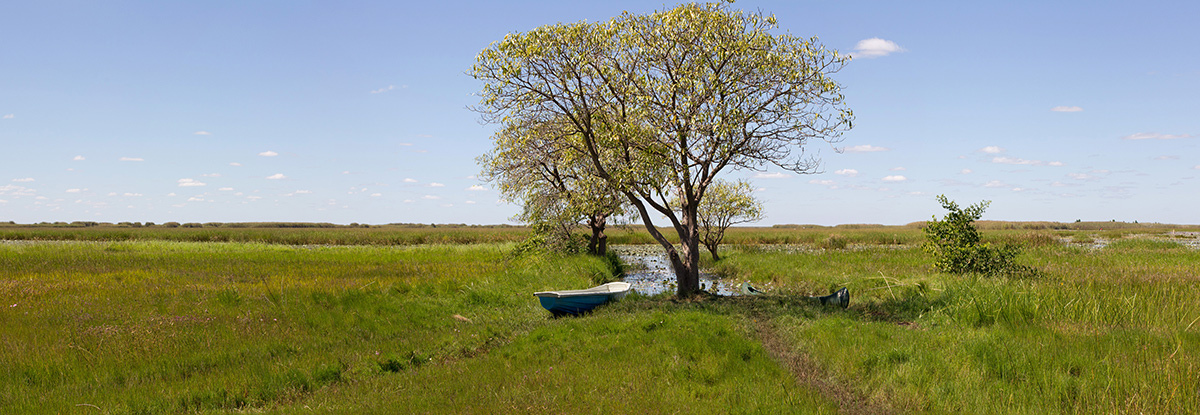 The boat landing at Shoebill Island Camp