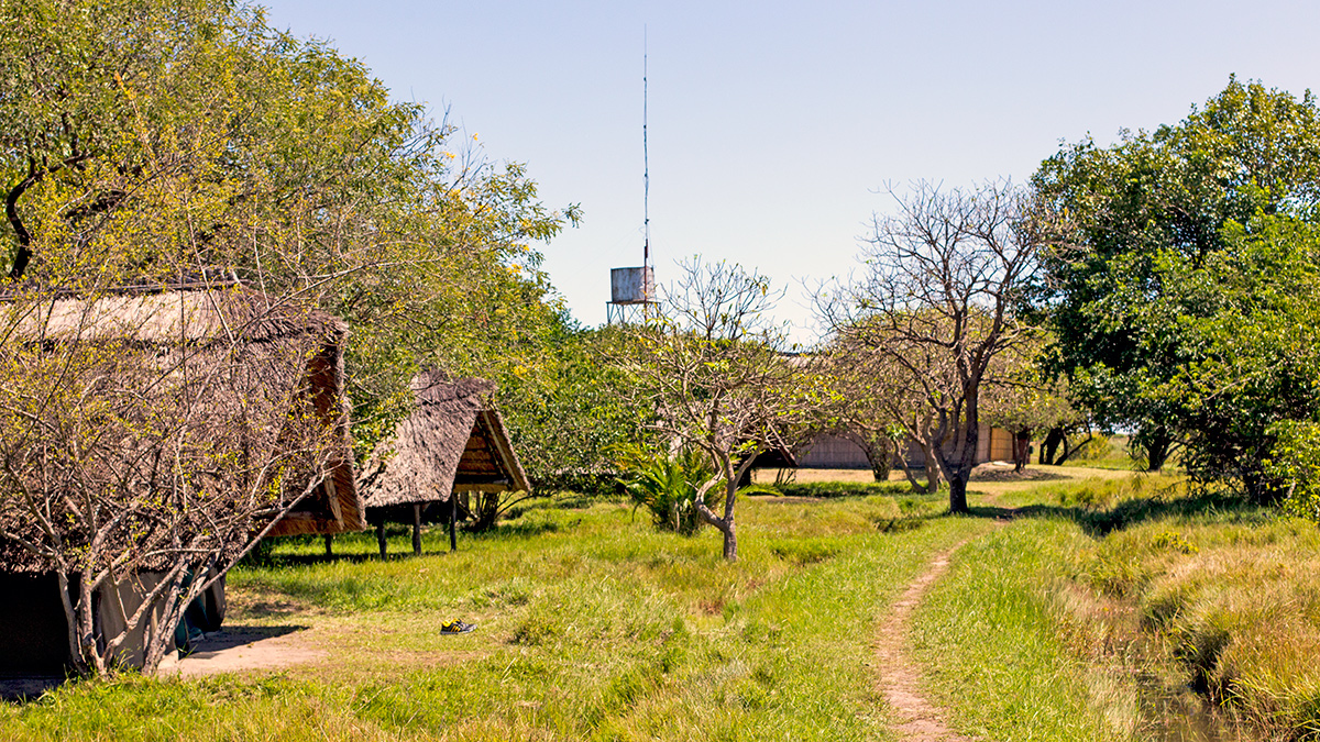 Shoebill Island Camp