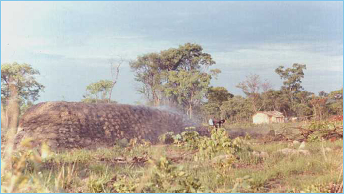 Charcoal burning