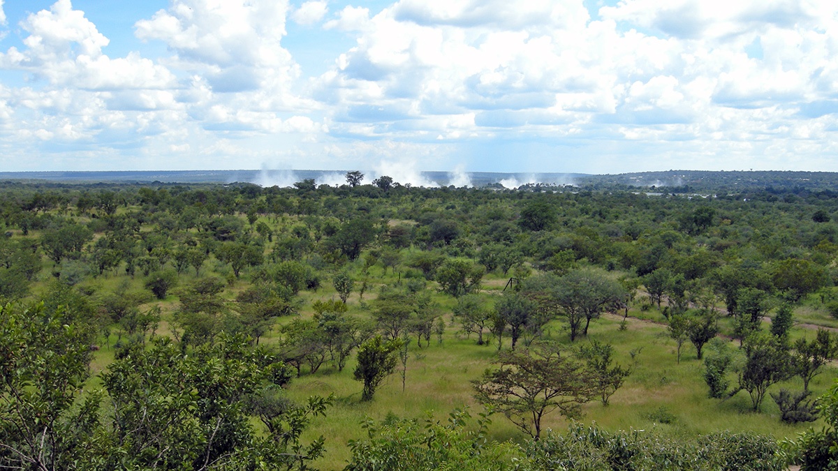 Spray from the Victoria Falls