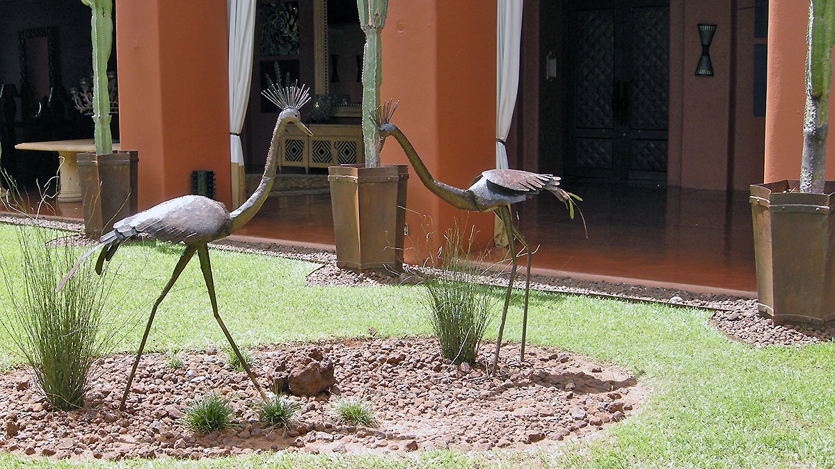 Crowned cranes