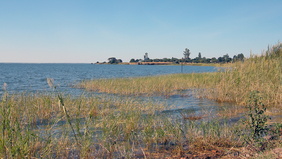 Lake Bangweulu