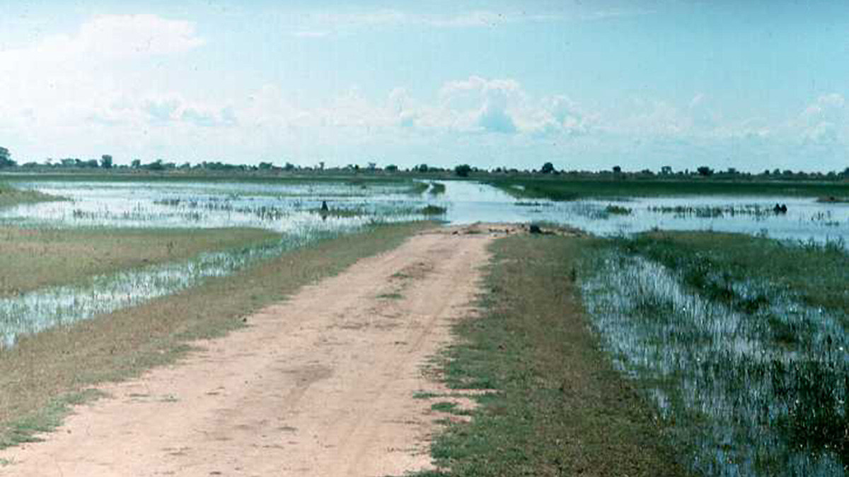 Flooded road