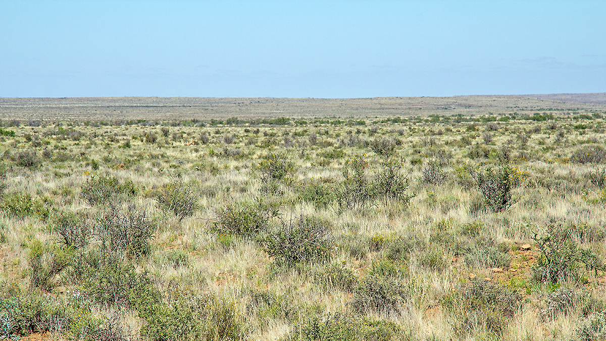 Karoo National Park