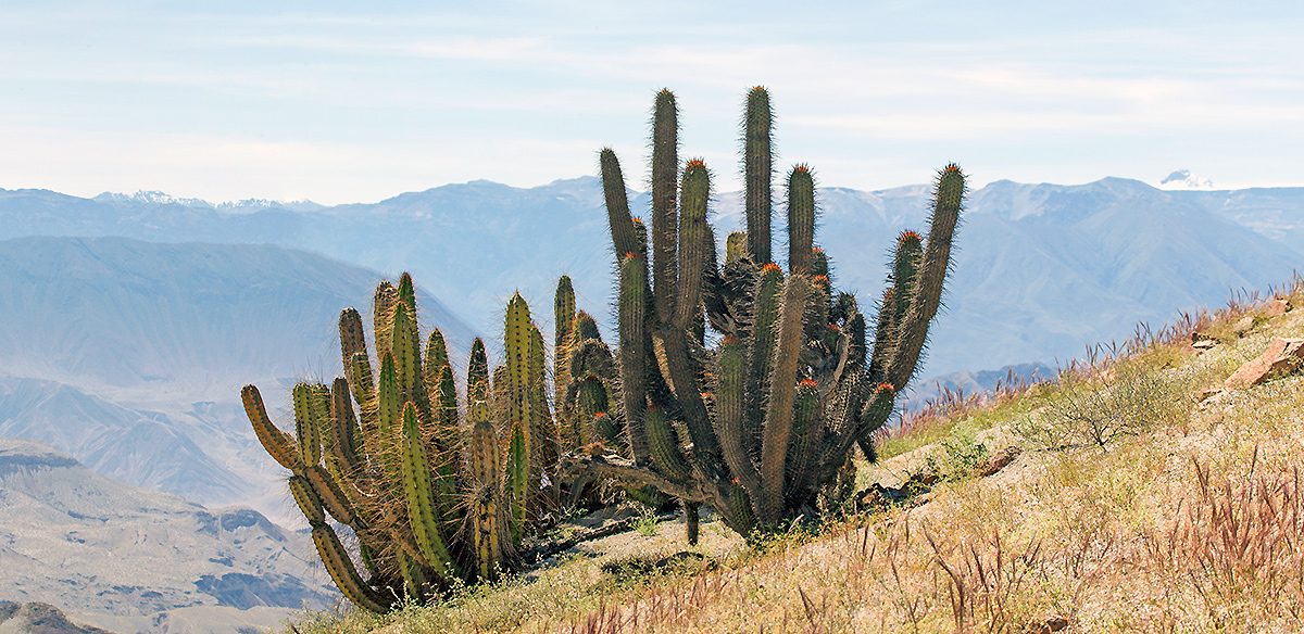 Looking north-east from the Los Calatos project site, Peruvian Andes