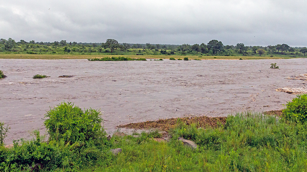Crocodile River at Ngwenya Lodge